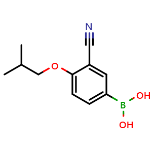 Chemical structure of 3-Cyano-4-isobutoxyphenylboronic acid , CAS 876918-32-0, AChemBlock U135490