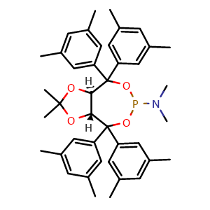 Chemical structure of (3aR,8aR)-4,4,8,8-Tetrakis(3,5-dimethylphenyl)-N,N,2,2-tetramethyltetrahydro-[1,3]dioxolo[4,5-e][1,3,2]dioxaphosphepin-6-amine , CAS 840454-58-2, AChemBlock U135674