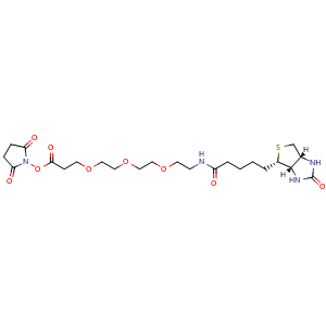 Chemical structure of (+)-Biotin-PEG3-NHS Ester , CAS 1253286-56-4, AChemBlock U140102