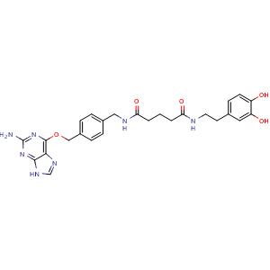 Chemical structure of N1-[4-[[(2-Amino-9H-purin-6-yl)oxy]methyl]benzyl]-N5-(3,4-dihydroxyphenethyl)glutaramide , CAS 2751758-99-1, AChemBlock U141145