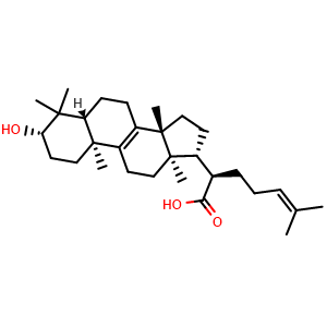 Chemical structure of Trametenolic acid , CAS 24160-36-9, AChemBlock V143119