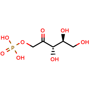 L-ribulose 1-phosphate