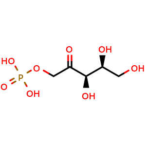 L-xylulose 1-phosphate
