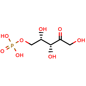 L-xylulose 5-phosphate