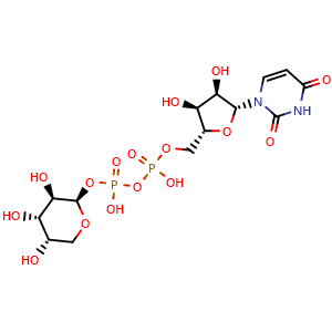 UDP-L-Arabinose