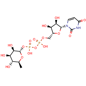 UDP-L-Rhamnose