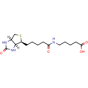 Chemical structure of N-Biotinyl-5-aminopentanoic acid , CAS 443770-03-4, AChemBlock V143630