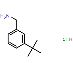 Chemical structure of (3-(tert-Butyl)phenyl)methanamine hydrochloride , CAS 140401-55-4, AChemBlock V144895