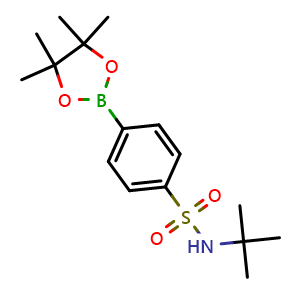 Chemical structure of N-tert-butyl-4-(4,4,5,5-tetramethyl-1,3,2-dioxaborolan-2-yl)benzenesulfonamide , CAS 648905-63-9, AChemBlock V144970