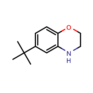 Chemical structure of 6-(tert-Butyl)-3,4-dihydro-2H-1,4-benzoxazine , CAS 937681-62-4, AChemBlock V146420