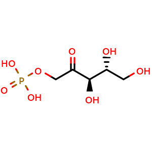 D-Ribulose 1-Phosphate