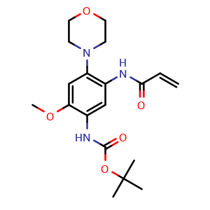 Chemical structure of N-[5-(Boc-amino)-4-methoxy-2-morpholinophenyl]acrylamide , CAS 2226388-61-8, AChemBlock V149984