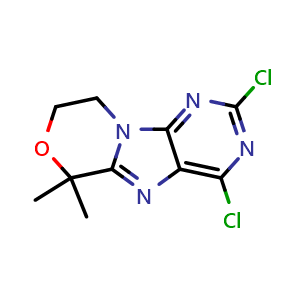 2,4-Dichloro-6,6-dimethyl-8,9-dihydro-6H-[1,4]oxazino[4,3-e]purine