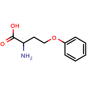 Chemical structure of O-Phenyl-DL-homoserine , CAS 52161-80-5, AChemBlock V151448