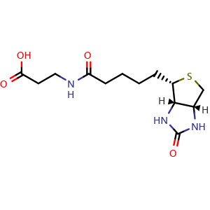 Chemical structure of N-Biotinyl-b-alanine , CAS 96312-56-0, AChemBlock V152737