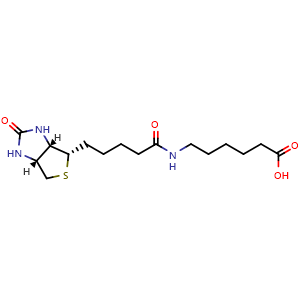 Chemical structure of N-Biotinyl-6-aminohexanoic acid , CAS 72040-64-3, AChemBlock V152738
