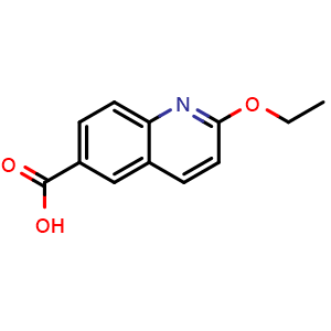 Chemical structure of 2-ethoxyquinoline-6-carboxylic acid , CAS 958487-61-1, AChemBlock V153041