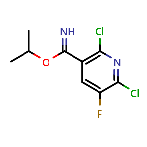 isopropyl 2,6-dichloro-5-fluoro-pyridine-3-carboximidate