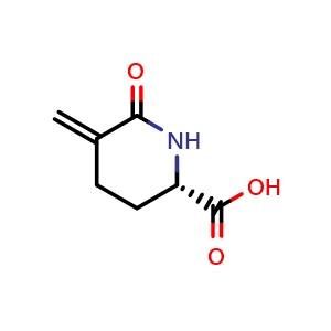 Chemical structure of (2S)-5-methylene-6-oxo-piperidine-2-carboxylic acid , CAS 1224433-66-2, AChemBlock V154407