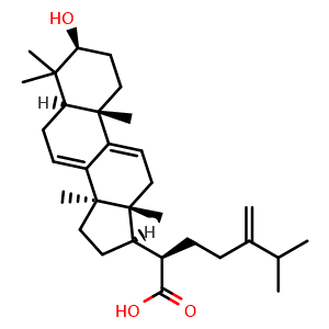 Chemical structure of Dehydroeburicoic acid , CAS 6879-05-6, AChemBlock V155764