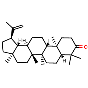 Chemical structure of Lupenone , CAS 1617-70-5, AChemBlock V155913