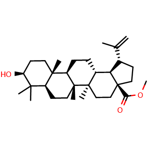 Chemical structure of Betulinic acid methyl ester , CAS 2259-06-5, AChemBlock V156034