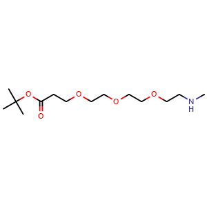 Chemical structure of MeNH-PEG3-CH2CH2COOtBu , CAS 217817-03-3, AChemBlock V156130