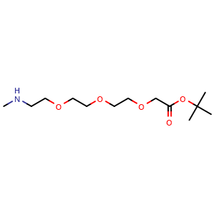 Chemical structure of MeNH-PEG3-CH2COOtBu , CAS 1618678-81-1, AChemBlock V156139