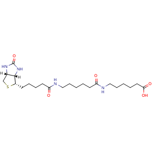 Chemical structure of Biotin-LC-LC , CAS 89889-51-0, AChemBlock V156303