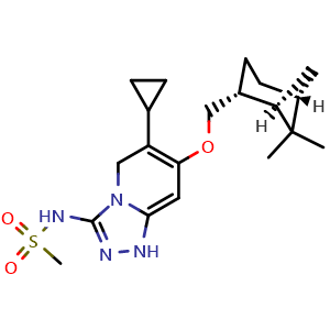 Chemical structure of N-(6-cyclopropyl-7-(((1R,2R,5R)-6,6-dimethylbicyclo[3 1 1]heptan-2-yl)methoxy)-1H-4l4-[1,2,4]triazolo[4,3-a]pyridin-3-yl)methanesulfonamide , CAS 2459946-46-2, AChemBlock W157802