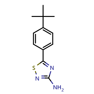 Chemical structure of 5-(4-tert-Butylphenyl)-1,2,4-thiadiazol-3-amine , CAS 1086385-86-5, AChemBlock W159113