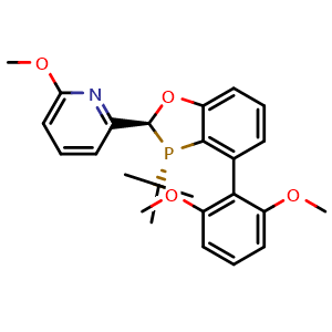 Chemical structure of 2-((2S,3S)-3-(tert-butyl)-4-(2,6-dimethoxyphenyl)-2,3-dihydrobenzo[d][1,3]oxaphosphol-2-yl)-6-methoxypyridine , CAS 2003230-67-7, AChemBlock W159613