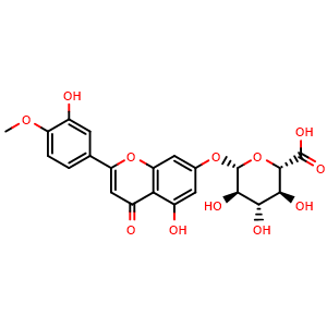 Diosmetin 7-O-beta-D-glucuronide