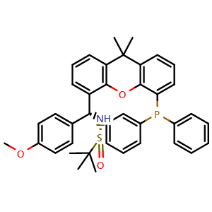 Chemical structure of [S(R)]-N-[(R)-[5-(Diphenylphosphino)-9,9-dimethyl-9H-xanthen-4-yl](4-methoxyphenyl)methyl]-2-methyl-2-propanesulfinamide , CAS 2160535-56-6, AChemBlock W162135