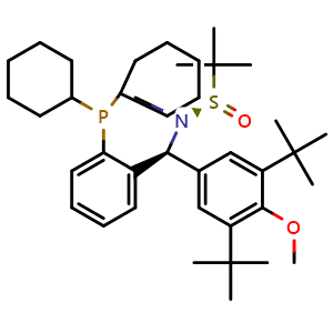 Chemical structure of [S(R)]-N-[(S)-[3,5-Bis(1,1-dimethylethyl)-4-methoxyphenyl][2-(dicyclohexylphosphino)phenyl]methyl]-N,2-dimethyl-2-propanesulfinamide , CAS 2241598-34-3, AChemBlock W162160