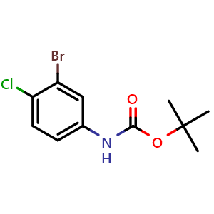 Chemical structure of tert-Butyl 3-bromo-4-chlorophenylcarbamate , CAS 1080573-26-7, AChemBlock W163220