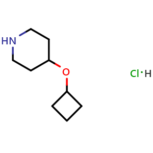 Chemical structure of 4-(cyclobutoxy)piperidine hydrochloride , CAS 1341037-74-8, AChemBlock W165143
