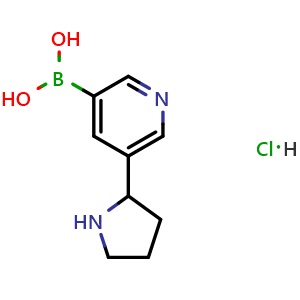 Chemical structure of 5-(pyrrolidin-2-yl)pyridin-3-ylboronic acid hydrochloride , CAS 899437-13-9, AChemBlock W166103