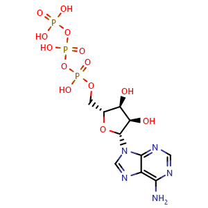 Adenosine 5'-triphosphate