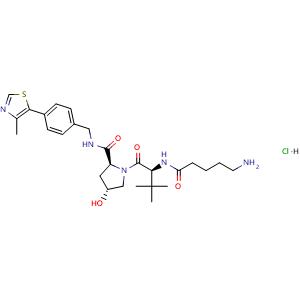 Chemical structure of (2S,4R)-1-((S)-2-(5-aminopentanamido)-3,3-dimethylbutanoyl)-4-hydroxy-N-(4-(4-methylthiazol-5-yl)benzyl)pyrrolidine-2-carboxamide hydrochloride , CAS 2245697-83-8, AChemBlock W166724