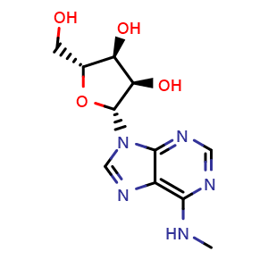Chemical structure of N6-Methyladenosine , CAS 1867-73-8, AChemBlock W168428