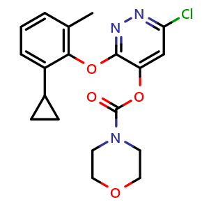 Chemical structure of 6-Chloro-3-(2-cyclopropyl-6-methylphenoxy)-4-pyridazinyl Morpholine-4-carboxylate , CAS 499231-24-2, AChemBlock W171776
