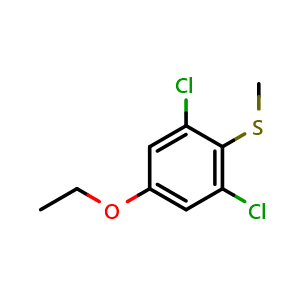 Chemical structure of (2,6-Dichloro-4-ethoxyphenyl)(methyl)sulfane , CAS 2710538-89-7, AChemBlock X173402