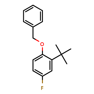1-(Benzyloxy)-2-(tert-butyl)-4-fluorobenzene