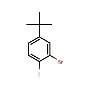 Chemical structure of 2-Bromo-4-tert-butyl-1-iodo-benzene , CAS 860435-39-8, AChemBlock X176689