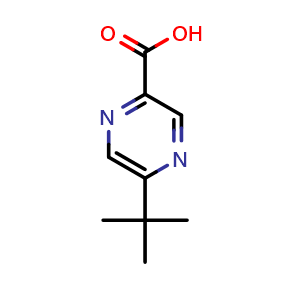 Chemical structure of 5-tert-butylpyrazine-2-carboxylic acid , CAS 242813-48-5, AChemBlock X182268