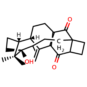 17alpha-hydroxy-19-norpregna-5(10),9(11)-diene-3,20-dione 3,20-bis(ethylene acetal)