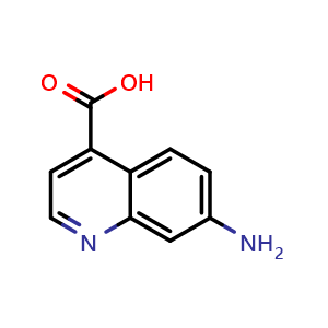 7-Aminoquinoline-4-carboxylic Acid