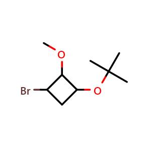1-bromo-3-tert-butoxy-2-methoxy-cyclobutane