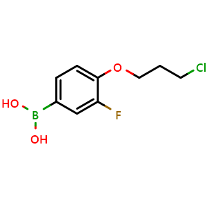(4-(3-Chloropropoxy)-3-fluorophenyl)boronic acid